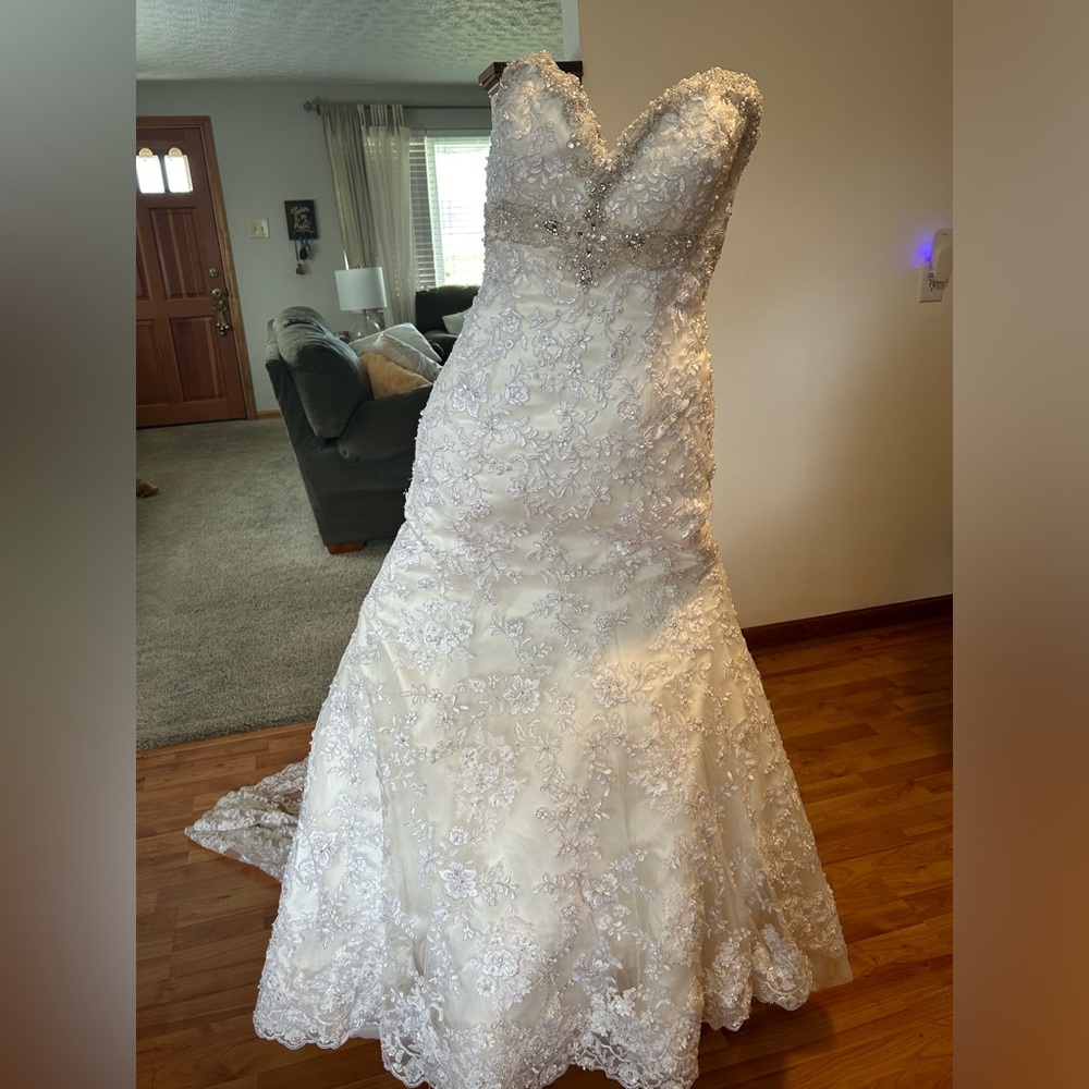 Ivory Weddings dress, tailored to fit a 5ft 120 pound girl :) worn once